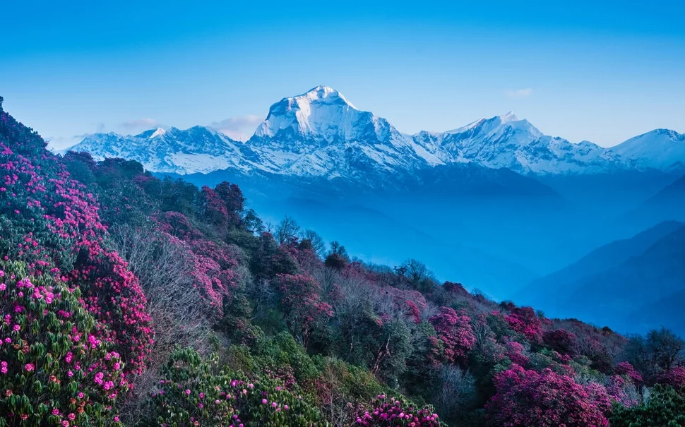 ghorepani poonhill trekking
