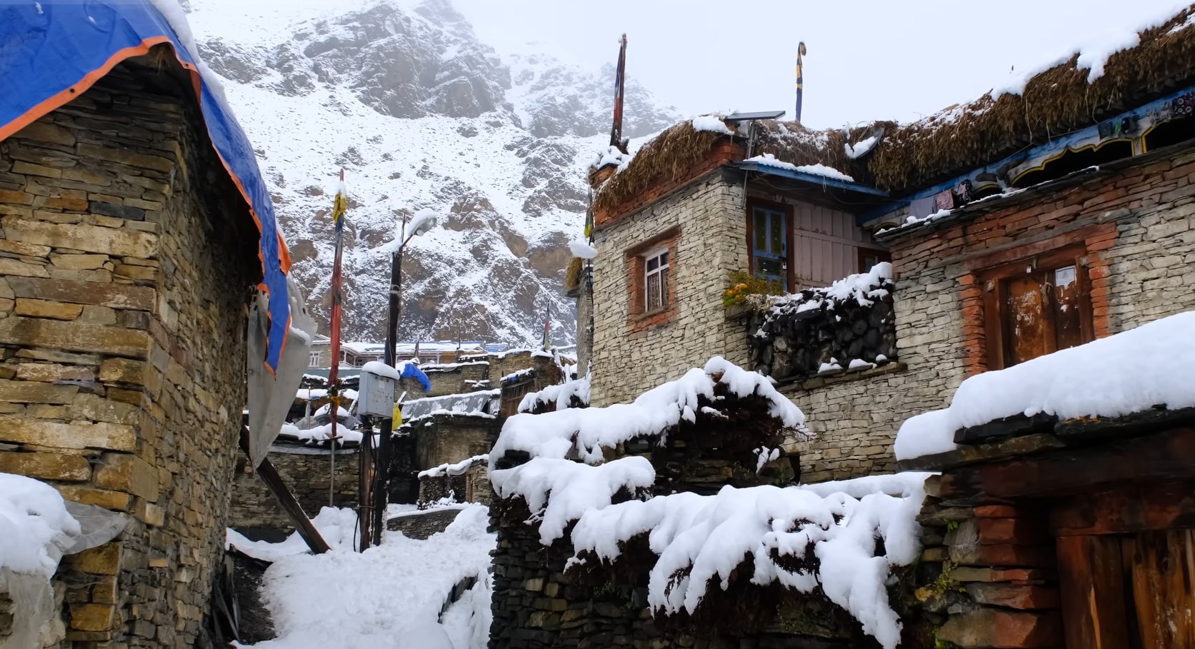 Tea, Yak Dung Stoves, and 6 PM Card Games: What Life in a Himalayan Teahouse Is Really Like 1 nar phu valley